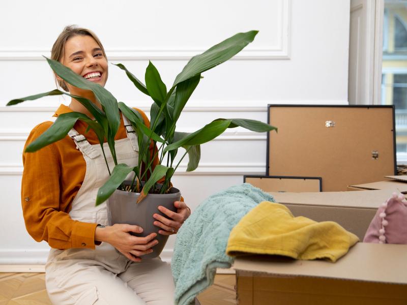 PIANTE DA INTERNO – Benefici e scelta delle specie ideali
